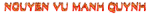 LOGO NGUYEN VU MANH QUYNH TO 2